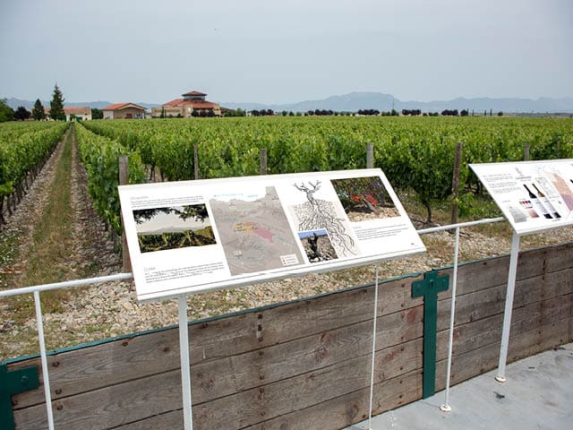 Diseño de paneles interpretativos de Finca La Emperatriz