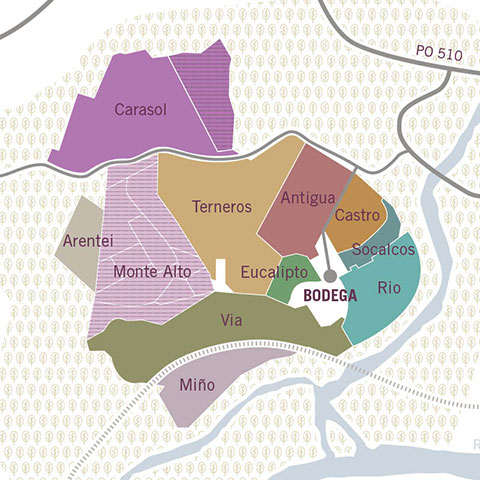 Plano de Parcelas de Fillaboa